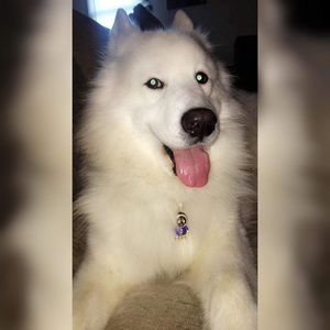 Meet your Posher, Jess